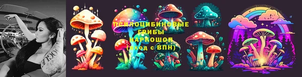 кокс Алзамай