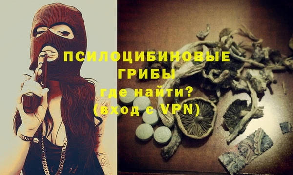 apvp Алексин