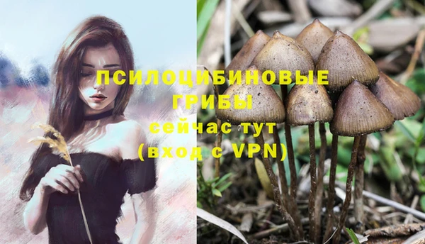 apvp Алексин