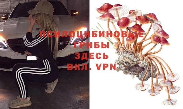 соль ск Алексеевка