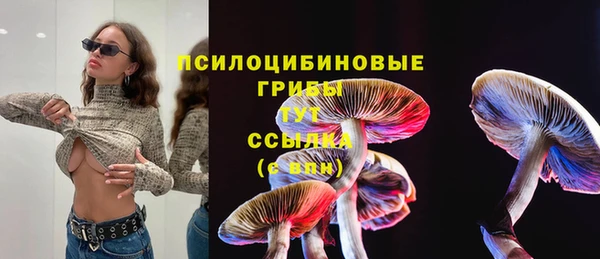 соль ск Алексеевка