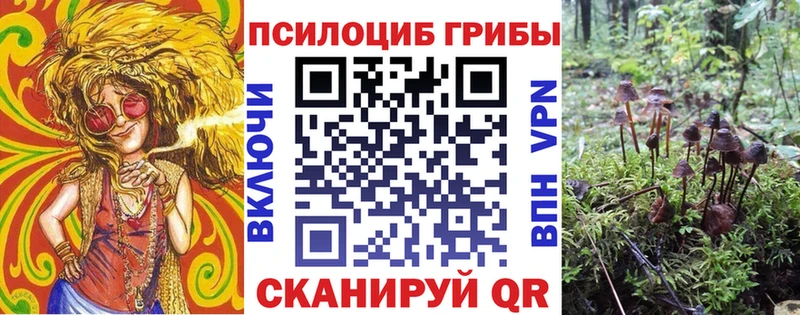 где можно купить наркотик Сим Псилоцибиновые грибы ЛСД